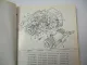 Atlas 1404 M Bagger Serie 141 Ersatzteilliste Parts List Catalogue pieces 1994