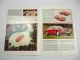 Bentley Continental R Prospekt Brochure 1991 Englisch