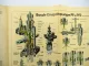Bosch PF PFR Einspritzpumpe für Diesel Motoren Betriebsanleitung 1956