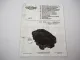 Briggs & Stratton 120000 Intek Edge Pro 825 850 875 Motor Betriebsanleitung 2007