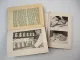 Der Fleischermeister Lehrbuch Meisterprüfung 1938 Friedrich Benthlin unvollst.