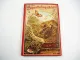 Der Schmetterlingszüchter 1904 von K. G. Lutz Insekten Leben & Zucht Schmetterling