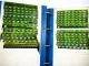 Deutz Ersatzteilkataloge 06er 07er DX50 - DX160 DX3.10 - 6.50 Intrac Agrotron