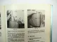 Fendt Farmer 105 106 108 S-SL Turbomatik Betriebsanleitung Bedienung 1977