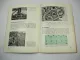 Fiat 315 Traktor Betriebsanleitung Bedienung Wartung Schaltplan Elektrik 1965