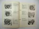 Fichtel & Sachs 50/3 MB HX LS MA MAK MK Motor Werkstatthandbuch Reparatur 1971