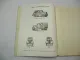 Ford Anglia Saloon Thames 5 cwt Van Spare Parts List 1939 - 1953