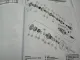 Harley Softail FLS und FXS Modelle 2012 Werkstatthandbuch Diagnose Fehlersuche