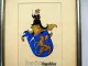 Heraldik handgemaltes Wappen Fam. Knecht Österreich 1650 Siebmachers Wappenbuch