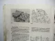 Honda CB900 FZ FA Boldor ab 1978 Reparaturanleitung Werkstatthandbuch Bucheli 5023