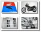 HONDA CMX 250 C Rebel MC32 ab 1996 Werkstatthandbuch Reparaturanleitung