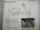 Honda Shadow 50 90 SRX50 SRX90 HF09 Rebel Werkstatthandbuch Reparaturanleitung