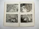 Jahresbericht Kreisackerbauschule Triesdorf Landwirtsch. Lehranstalten 1936/38