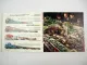 Märklin Eisenbahn Modellbau Modelleisenbahn Katalog 1964/65