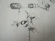 Massey Ferguson MF 1132 Traktor Ersatzteilliste Parts List 1978