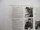 Massey Ferguson MF 133 Reparaturleitfaden Schlepper Werkstatthandbuch