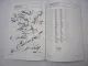 Massey Ferguson MF 255 Traktor Ersatzteilliste Parts List Pieces de Rechange 1976/78