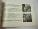 Mercedes Benz 200D/8 220D/8 W115 Betriebsanleitung 1967 Wartung Pflege
