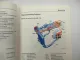 Mercedes-Benz Werkstatthandbuch Neuerungen Typ 129 168 202 210 215 220 Schulung 2000