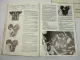 Moto Guzzi V35 V50 II Imola Werkstatthandbuch Reparaturanleitung 1979