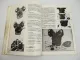 Moto Guzzi V35 V50 Imola Monza Reparaturanleitung Werkstatthandbuch 1979