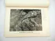 Neckartenzlingen einst und jetzt 1959 Heimatbuch F. Reiff Baden-Württemberg