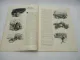 Orig. Zeitschrift Illustrierte Zeitung Leipzig Verl. Weber Reisenummer 4598 1933