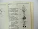 Original British Leyland Triumph TR6 Werkstatthandbuch Reparaturanleitung 1972