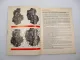 Original Deutz F1L F2L 410 Motor Betriebsanleitung Bedienung Wartung 1971