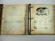 Original Ford Dexta 2000 Super Dexta 3000 Major 4000 5000 Werkstatthandbuch 1964/66
