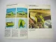 Original Prospekt Claas Rapido 40 Futterernte Ladewagen mit techn. Daten 1978
