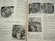 Original Reparaturleitfaden VW Transporter T1 Typ 2 Werkstatthandbuch 1953