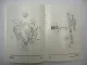 Perkins 6.372 T6.3543 6.3542 6.3541 T6.354 6.354 Motor Betriebsanleitung ETL