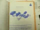 Perrot Bremsen für Nutzfahrzeuge Baumaschinen Stapler technische Beschreibung