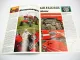 Prospekt Massey Ferguson MF 188 neue Dimensionen in der Traktortechnik 1975