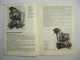 Sachs Diesel 600 Motor Betriebsanleitung Bedienungsanleitung Handbuch