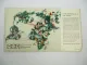 SAS Scandinavian Airlines Streckenkarte ca. 1960er Jahre in Englisch