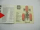 Steyr 188 Tractor Brochure with technical data 1961 Traktor Prospekt in englisch