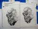 Toyota Carina E Celica RAV4 16V 2.0L 3S-FE Motor Werkstatthandbuch 1993-1997