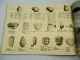 W. Krohne Braunschweig Katalog Lampen Leuchten Kaiser Idell Hoso Doria 1956/58