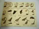 W. Krohne Braunschweig Katalog Lampen Leuchten Kaiser Idell Hoso Doria 1956/58