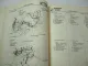 Werkstatthandbuch Honda CM200T Nachtrag 1979 Addendum Shop Manual Schaltplan