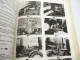 Werkstatthandbuch IHC 1255 1455 und XL Fahrgestell 1981 Reparaturanleitung