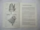 Zenith 175 CDT Stromberg Vergaser Betriebsanleitung 1974 Mercedes Benz W123