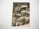 Zirkus Prospekt Spielfolge Circus Busch 1954