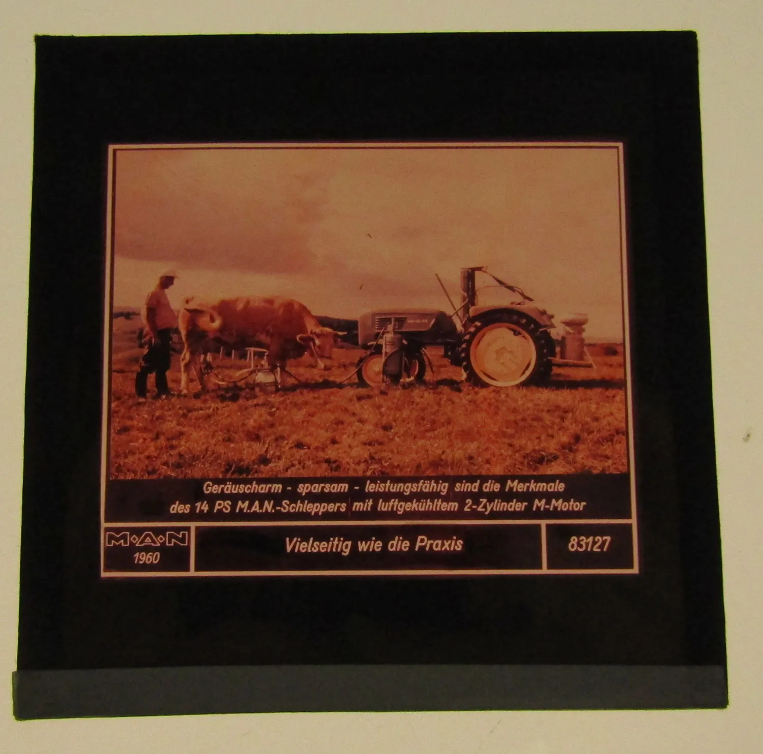 1 Farbdiapositiv MAN 14 PS Dieselschlepper Traktor ca 1960 Original