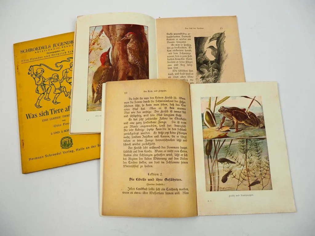 3 Hefte Tiergeschichten Naturbeobachtungen für Kinder Verlag Halle Saale