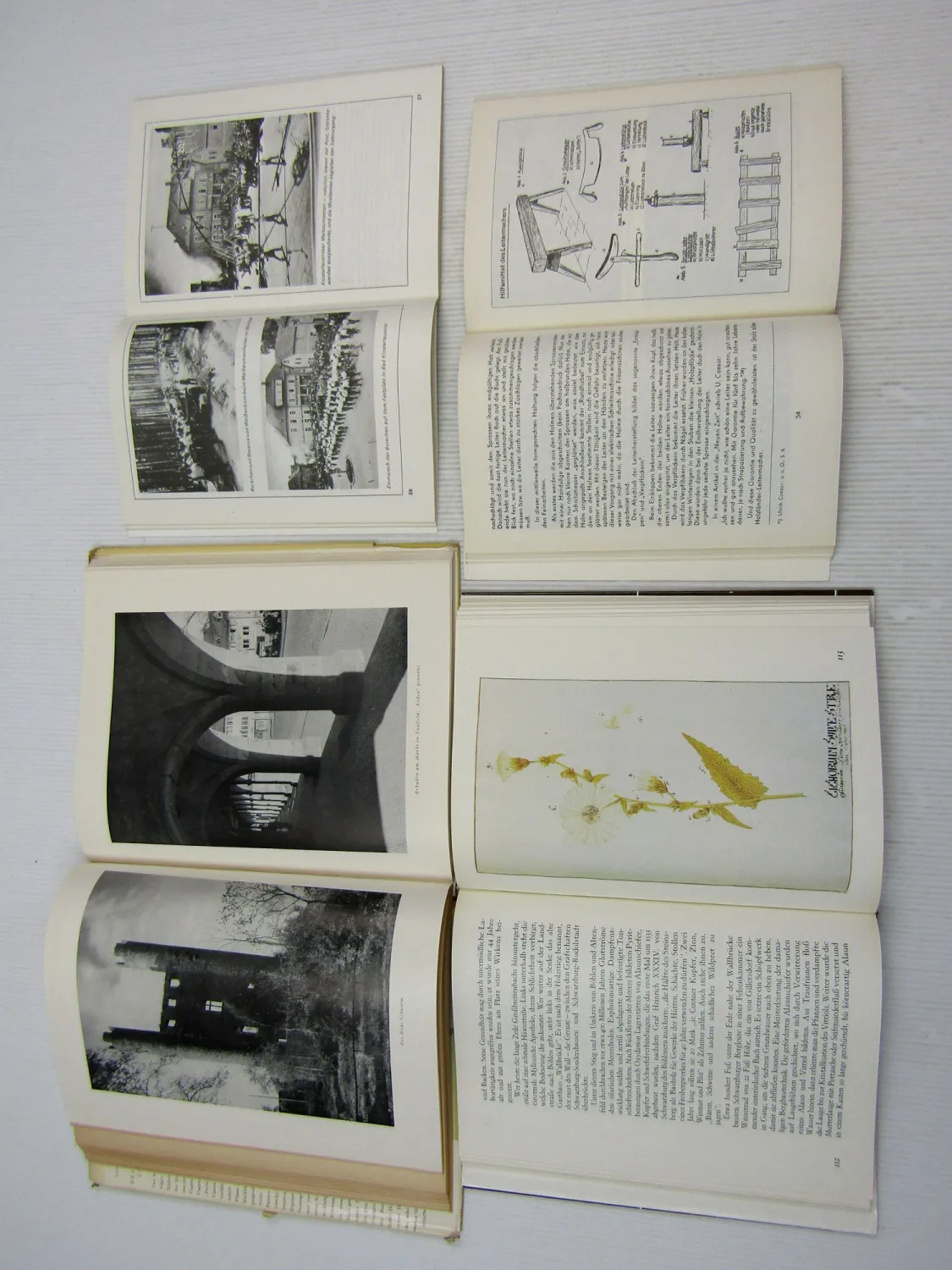 4x Thüringen Saale Unstrut Kräutergarten Bräuche und Handwerk Holzlandkreis