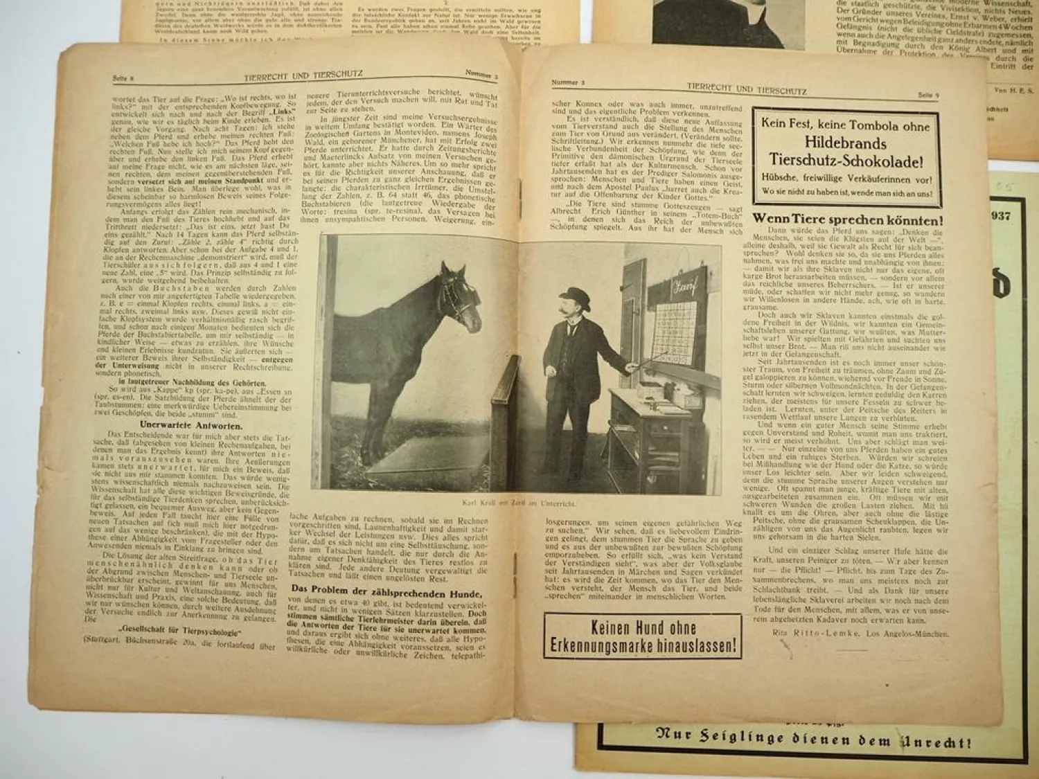 6x Zeitschrift Thema Tierschutz Tierfreund Tierwohl 1920er bis 1950er Jahre