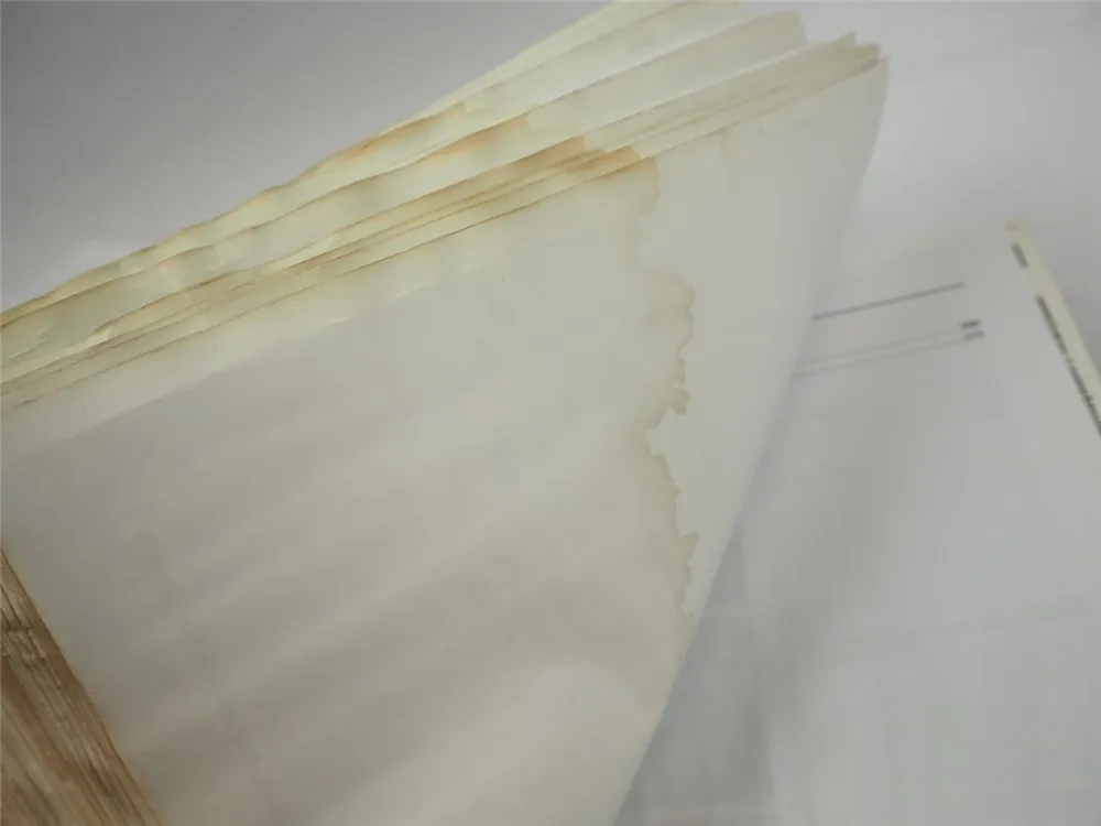 Fendt 919 922 925 928 931 934 Vario Einführungskurs Werkstatthandbuch 2007